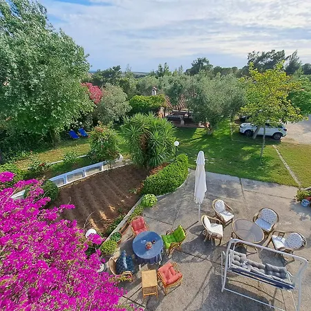 Oasis * Nea Poteidaia