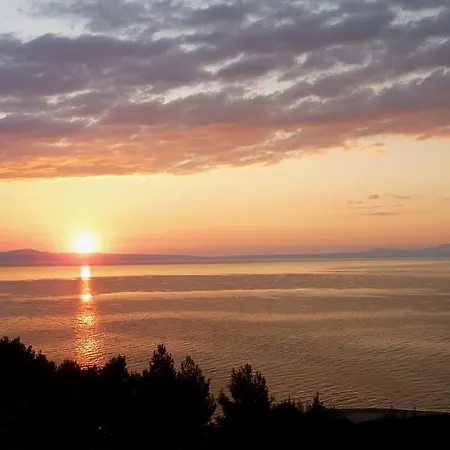 Oasis * Nea Poteidaia