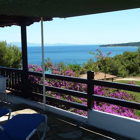 Oasis * Nea Poteidaia