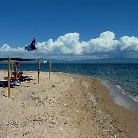 Oasis * Nea Poteidaia