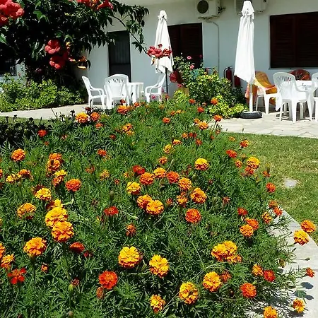 Apartament Oasis *