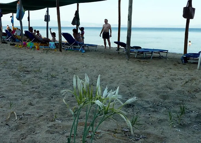 Oasis Nea Poteidaia