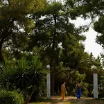 Oasis *