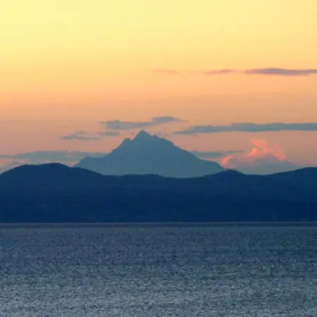 Oasis * نيا بوتيدايا