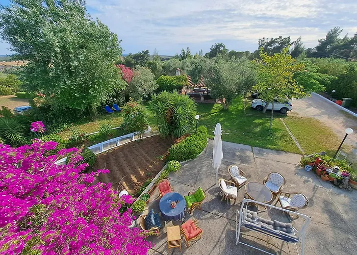 Oasis * Νέα Ποτίδαια