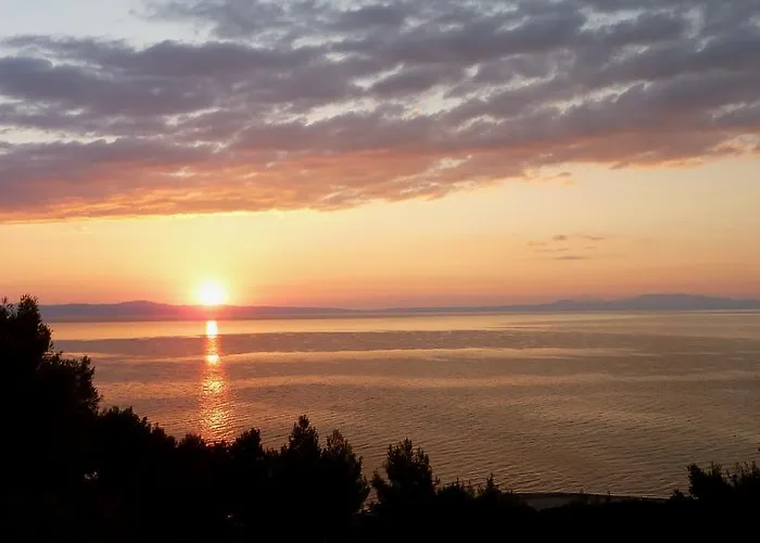 Oasis * Νέα Ποτίδαια