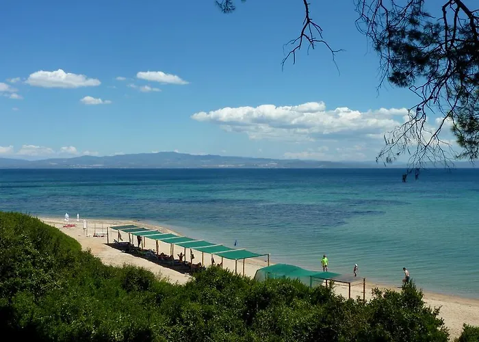 Oasis Νέα Ποτίδαια