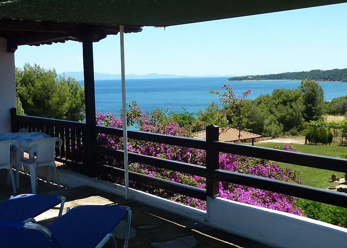 Oasis * Νέα Ποτίδαια