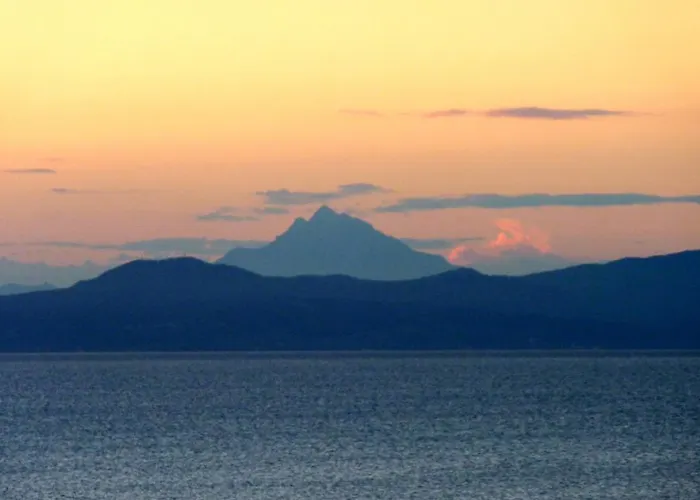 Oasis * Νέα Ποτίδαια