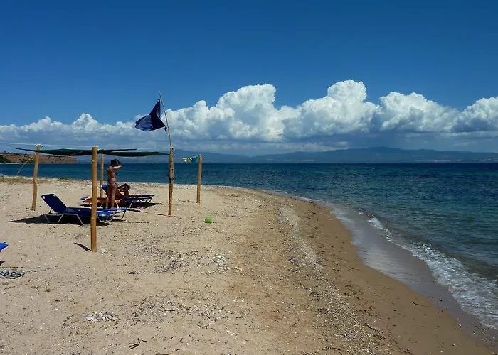 Oasis * Νέα Ποτίδαια