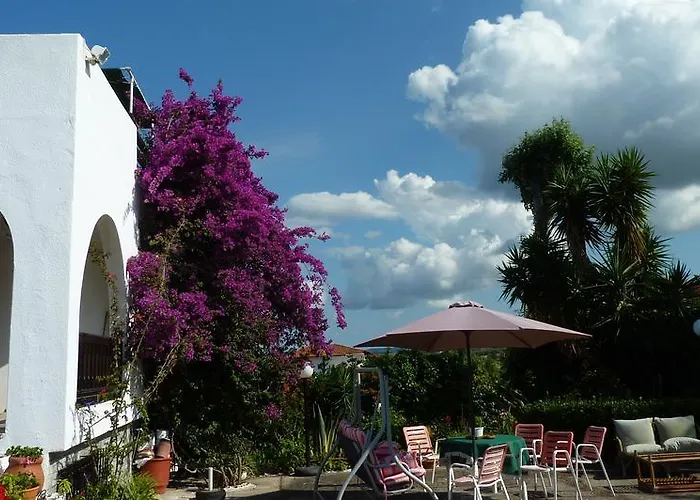 Διαμέρισμα Oasis