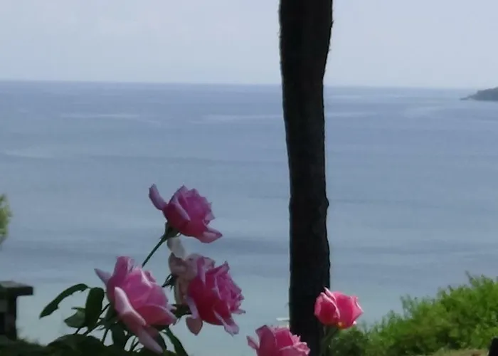 Διαμέρισμα Oasis