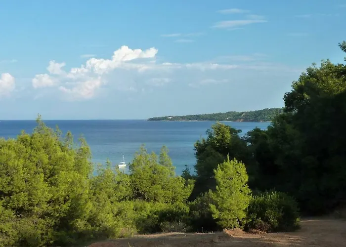 Oasis Νέα Ποτίδαια