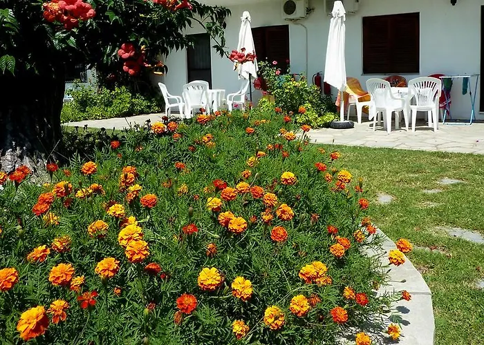 Apartman Oasis *